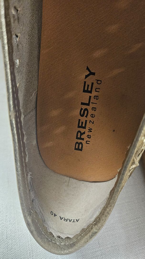 Bresley Gold Metallic Loafer (40)