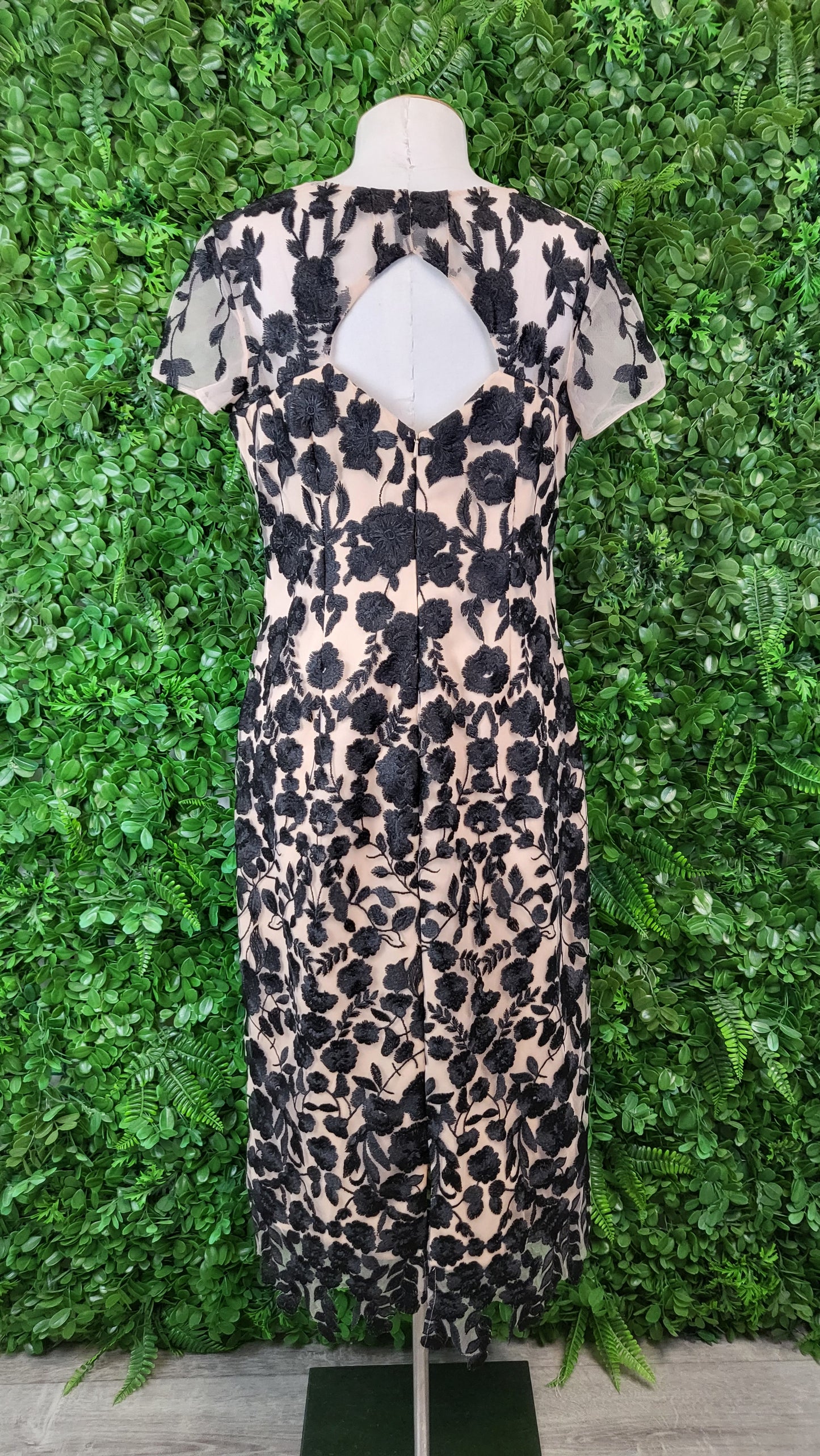 JS Collections Nude/Black Lace Cocktail Dress (10)